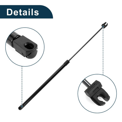 Front Hood & Tailgate Lift Supports Struts Set for Dodge Intrepid (1998-2004)