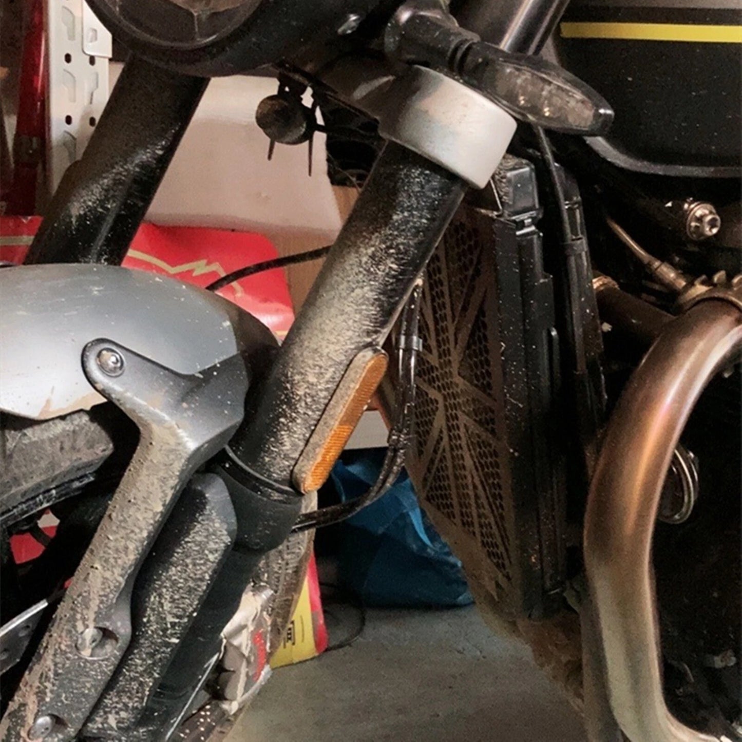 Radiator Grille Guard Cover for Triumph SPEED TWIN (2019 - )