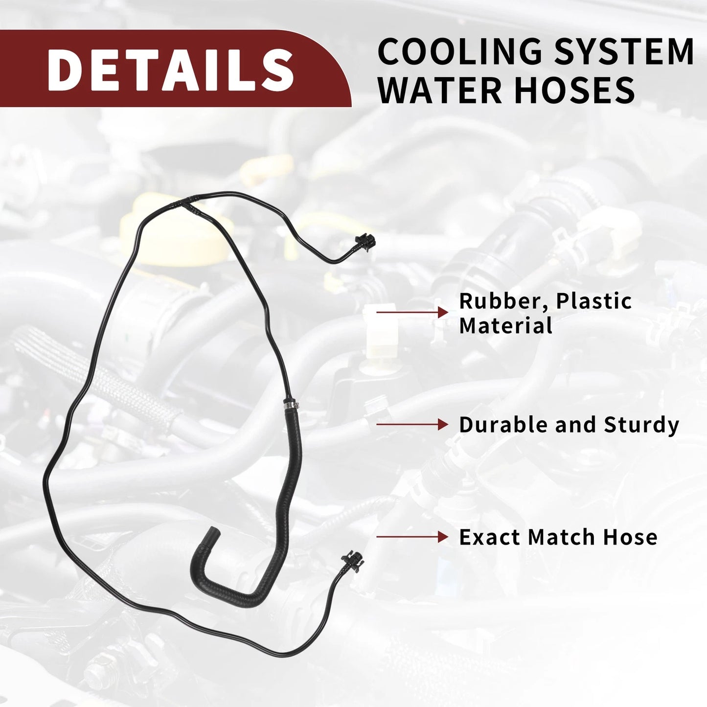 Radiator Hose for Ford Transit Connect (2013-2023)