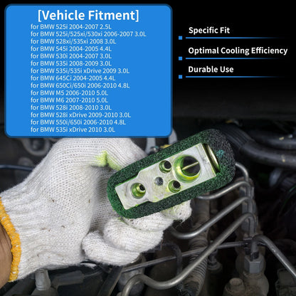 A/C Expansion Valve  for BMW 525i (2004-2007)