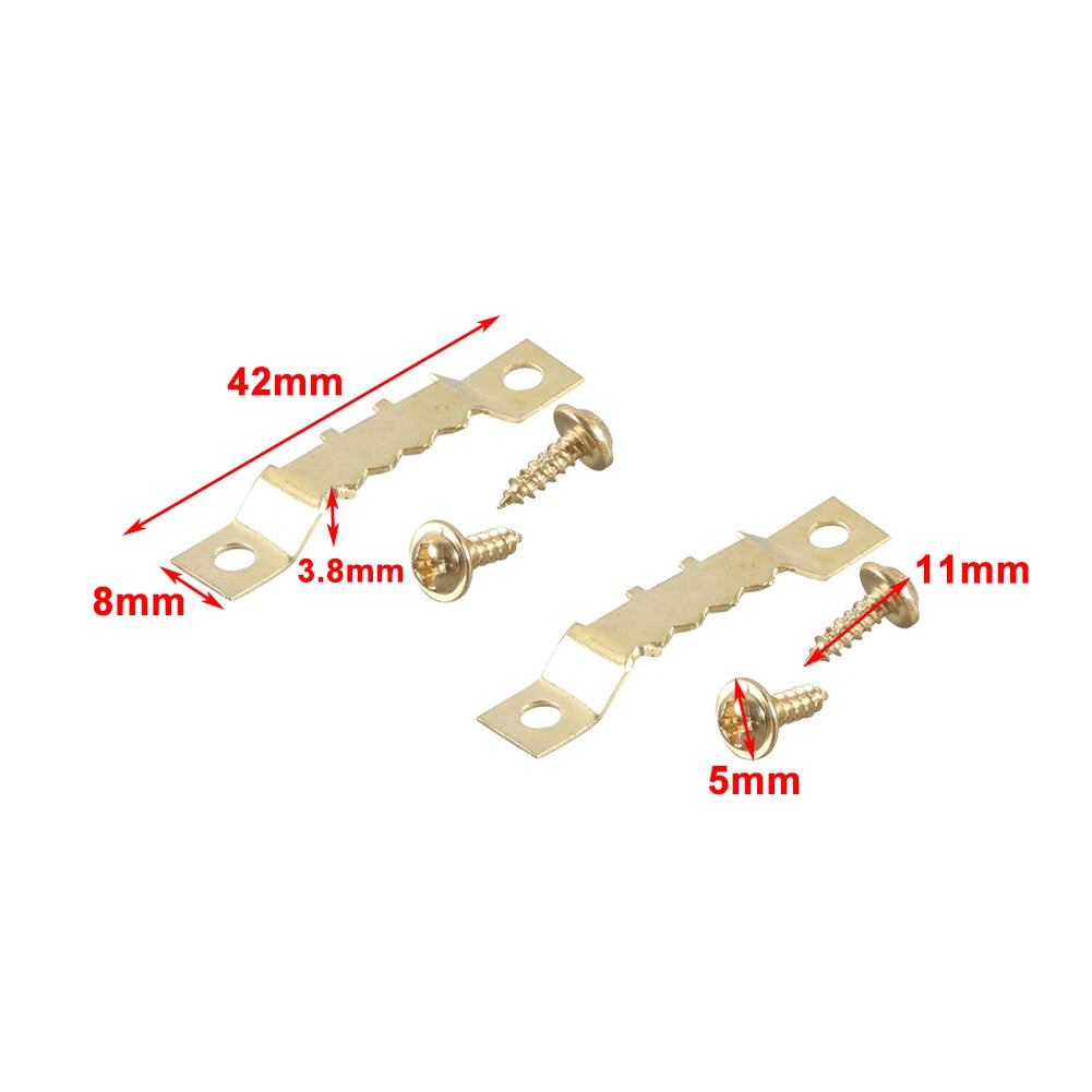 Double Hole Sawtooth Picture Hanger Hooks for Paintings Photos Art (No Year)