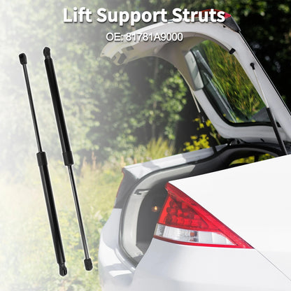 Rear Hatch Lift Supports Struts for Kia Sedona (2006-2020)