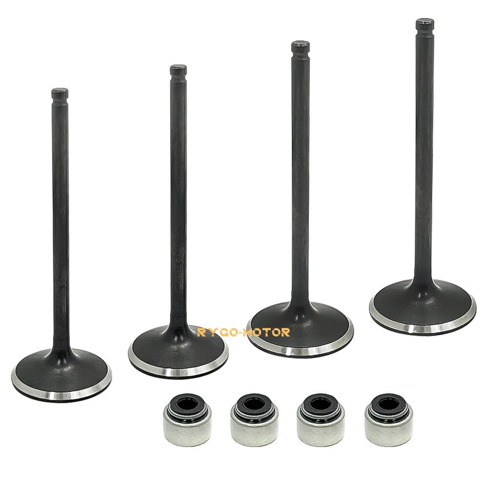 Valve Seals / Head Intake-Exhaust for Polaris Predator 500 (2003–2007)