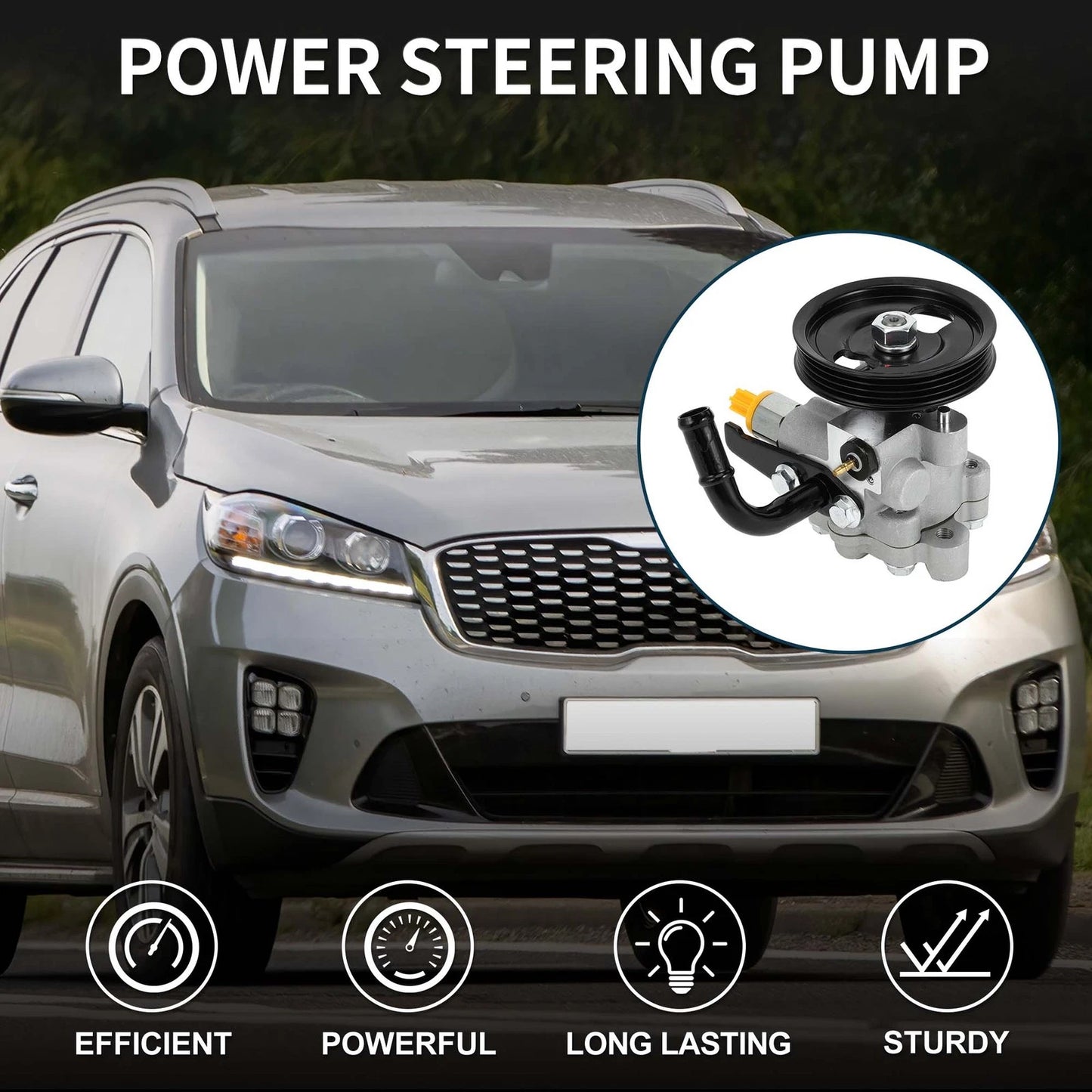 Power Steering Pump & Pulley for Kia Sorento LX 3.5L (2003-2006)