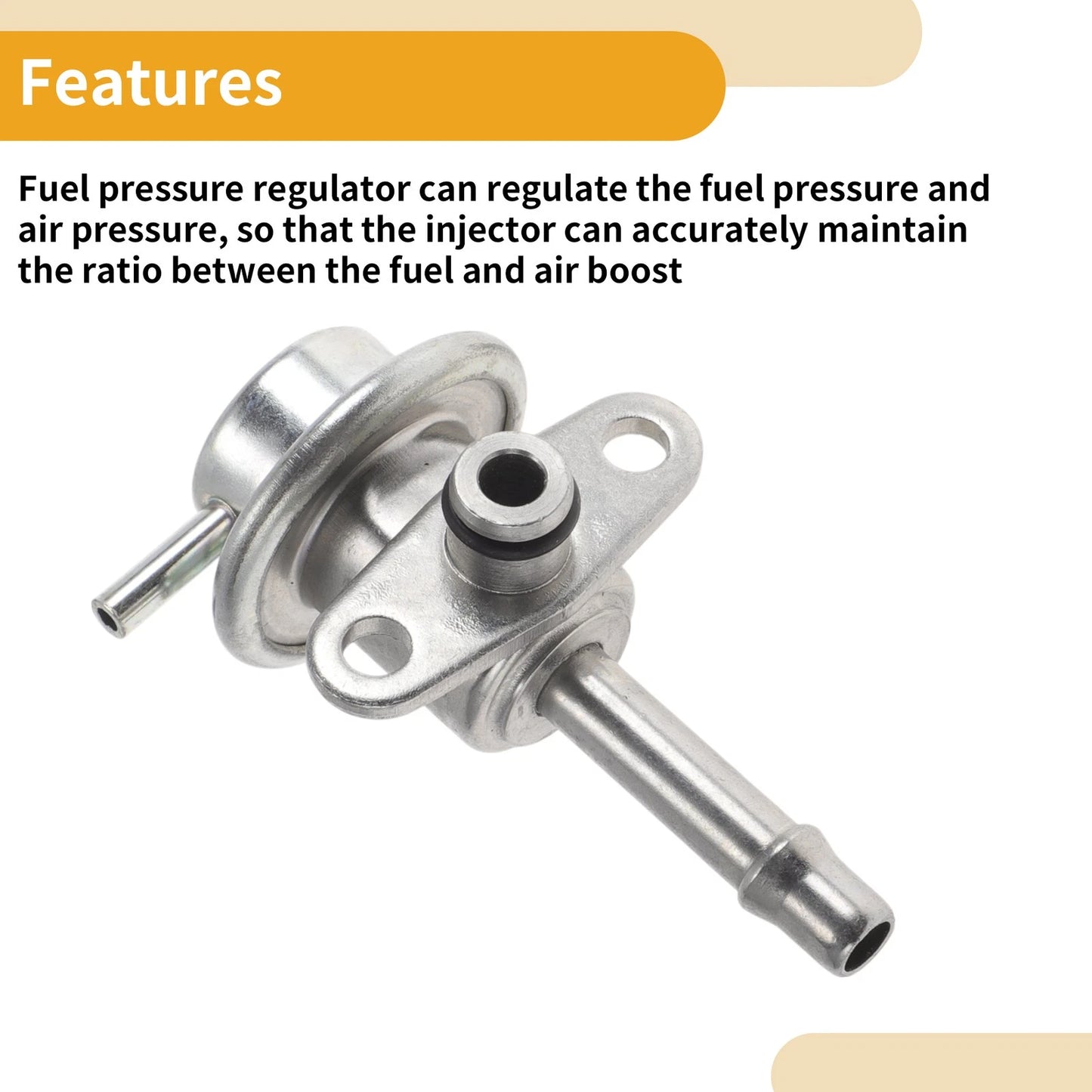 Fuel Pressure Regulator for Nissan Sentra (2000)