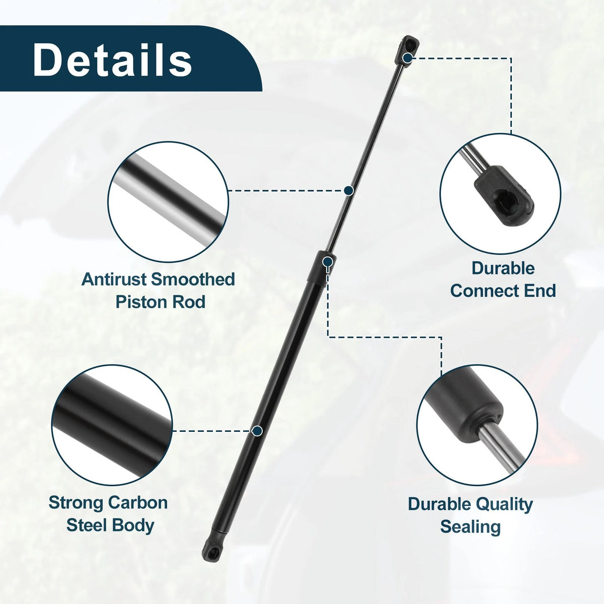 Front Hood Lift Supports Struts for Chevrolet Colorado