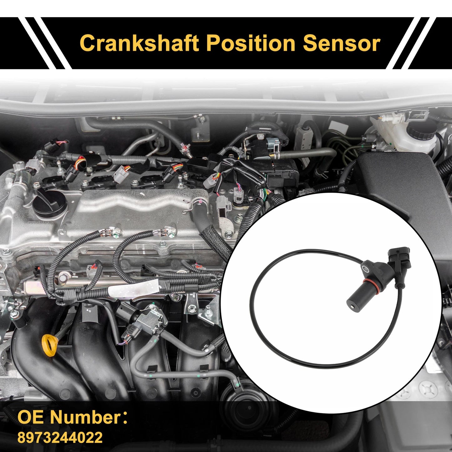 Crankshaft Position Sensor for Isuzu Rodeo Diesel 3.0L (2003-2007)