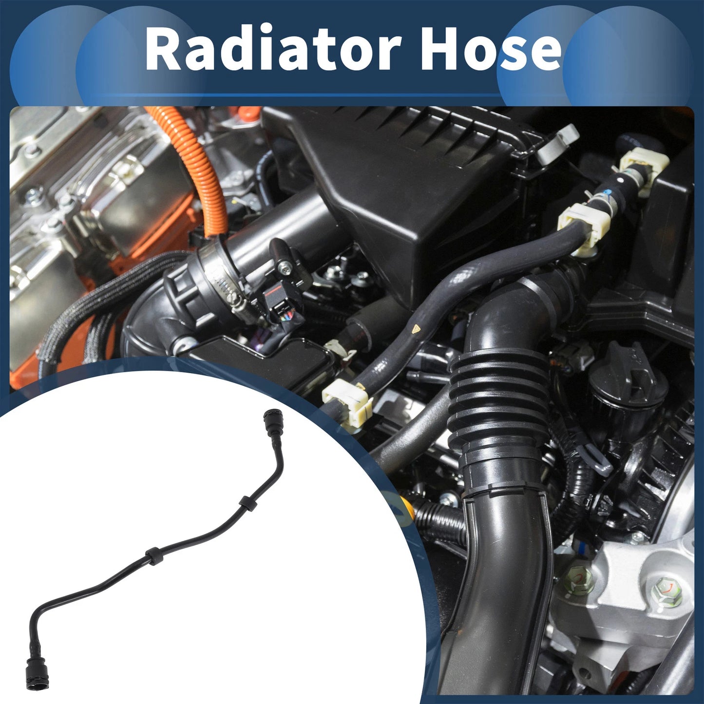 Radiator Hose for BMW M550i xDrive 4.4L (2018-2019)