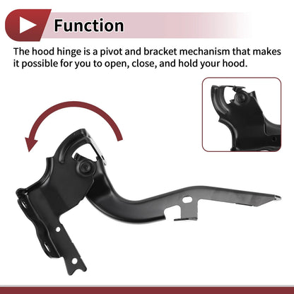 Hood Hinges 1 Pair for Lexus RX350 (2016-2022)