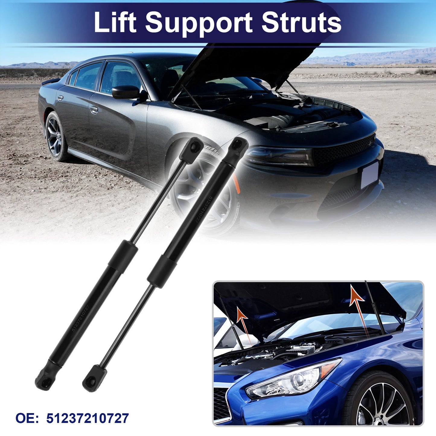Tailgate Lift Support Struts Gas Spring for BMW X3 F25 (2011-2017)