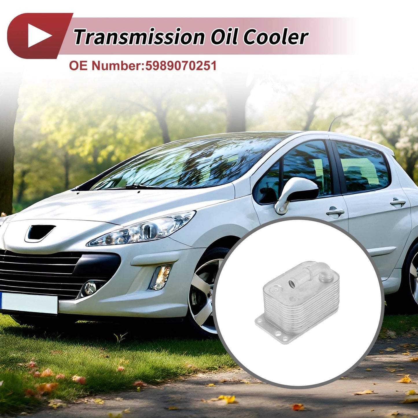Engine Oil Cooler for PEUGEOT 307 (2007)