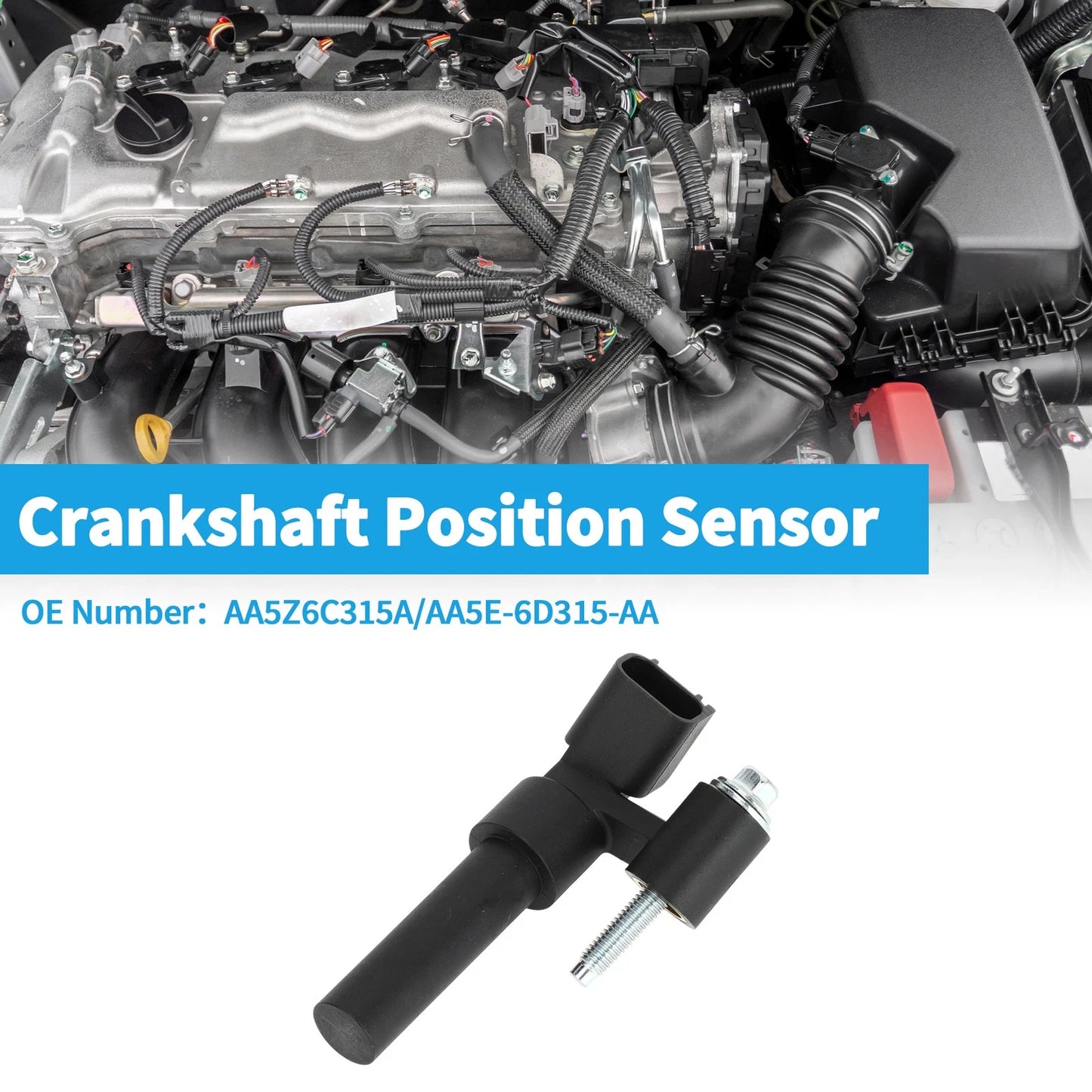 Crankshaft Position Sensor for Ford Edge 2015-2023