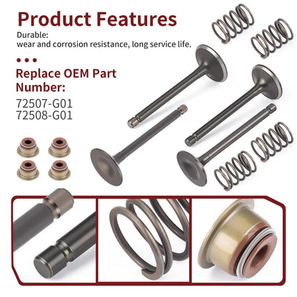 Intake Exhaust Valve Kit & Seals Spring for EZGO Gas Golf Cart (1996–2026)