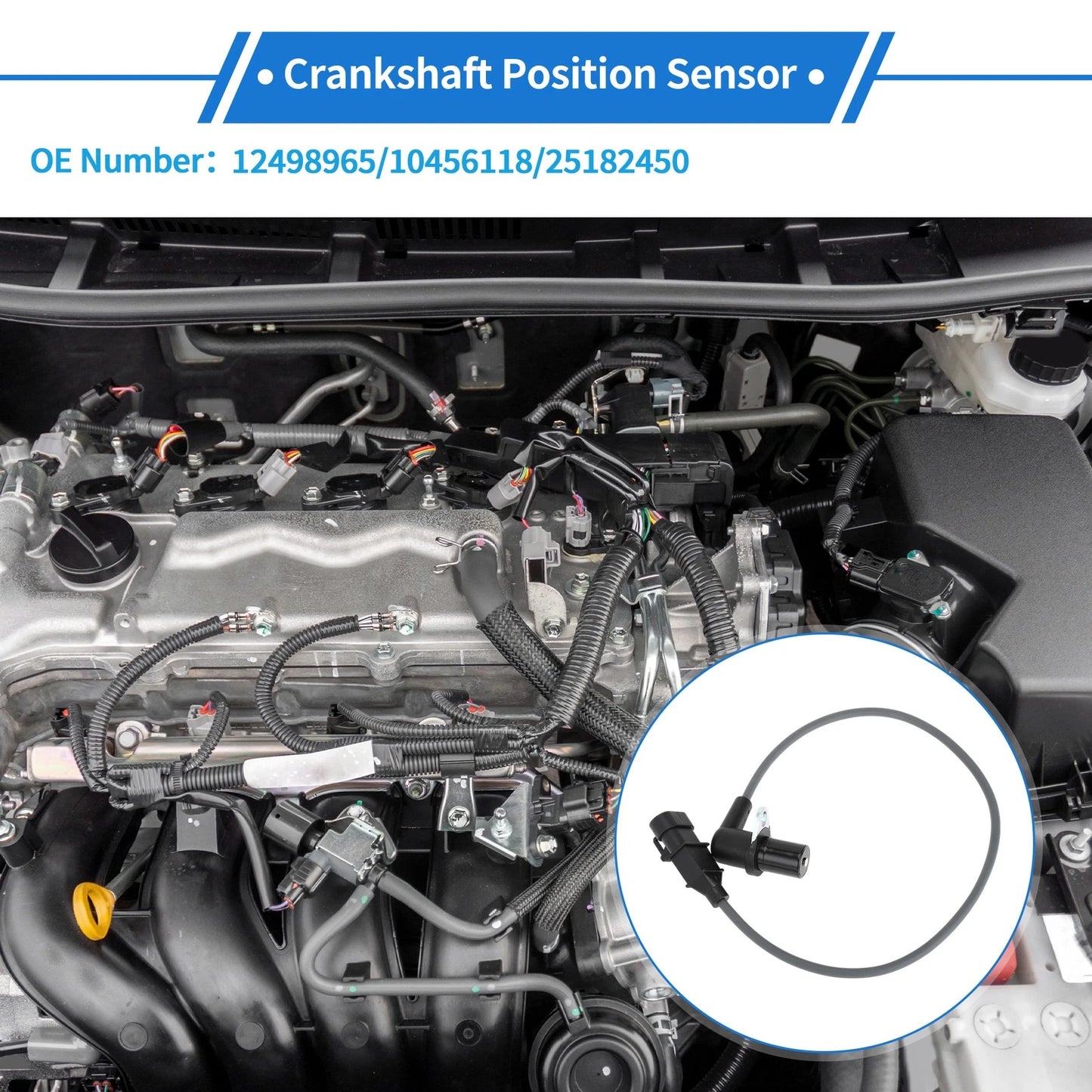 1 x Crankshaft Position Sensor for CHEVROLET Kalos (2005-2008)