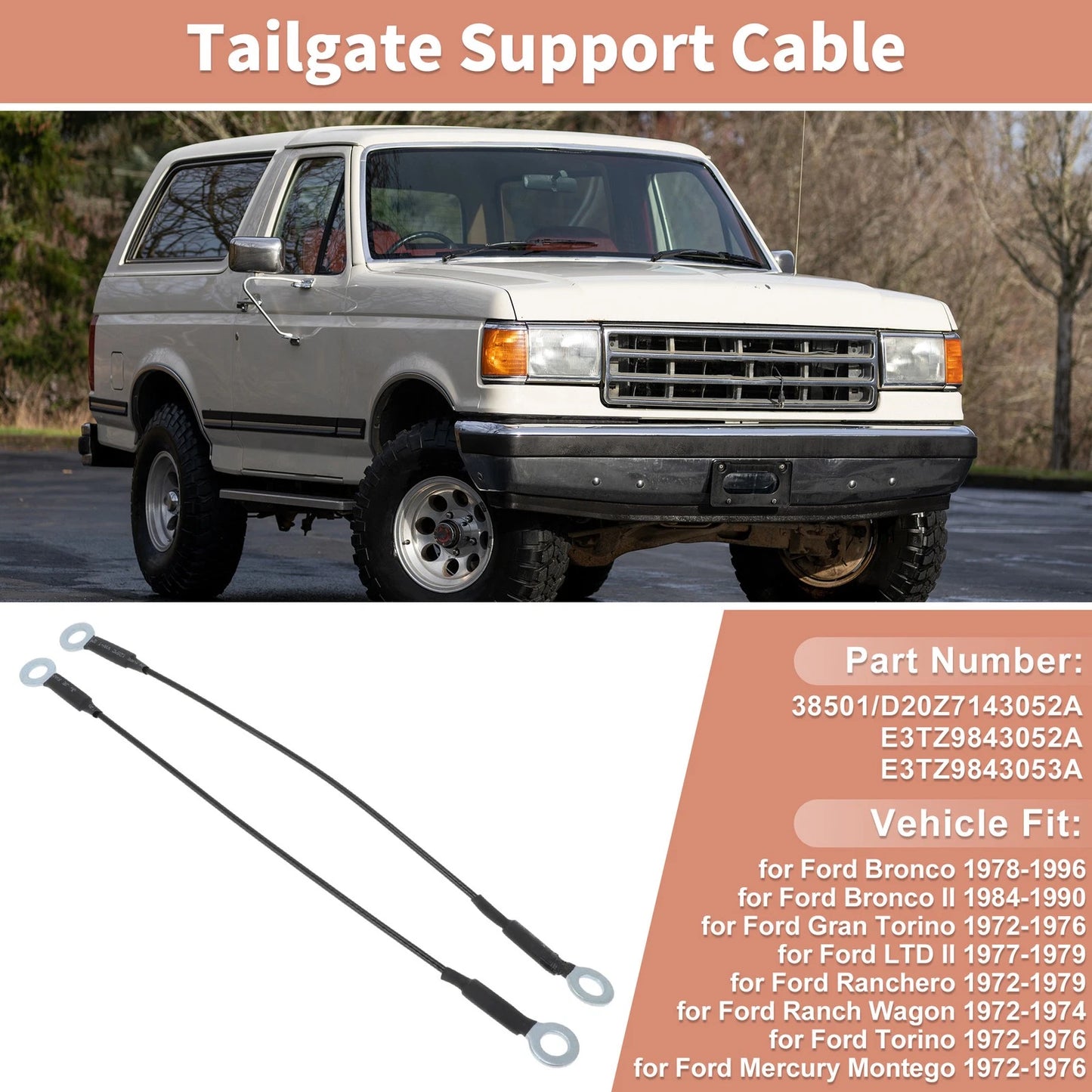 Tailgate Support Cable for Ford Bronco, Gran, Ranchero (1966-1996)