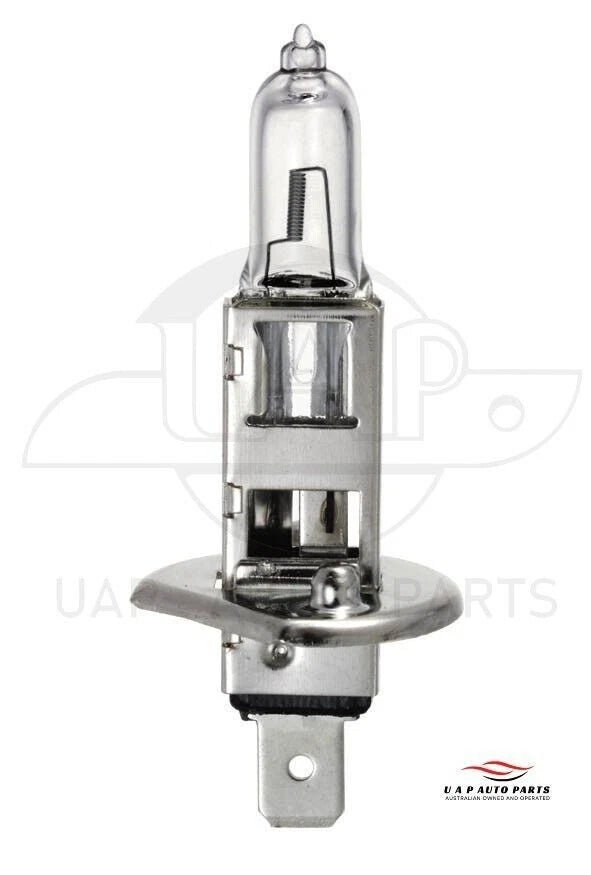 Halogen Head Light P14.5s Globe 12V 55W for Michiba (Years) - 2 x Long Life