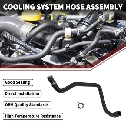 Cooling System Hose Assembly for Ford C-MAX (2010-2019)