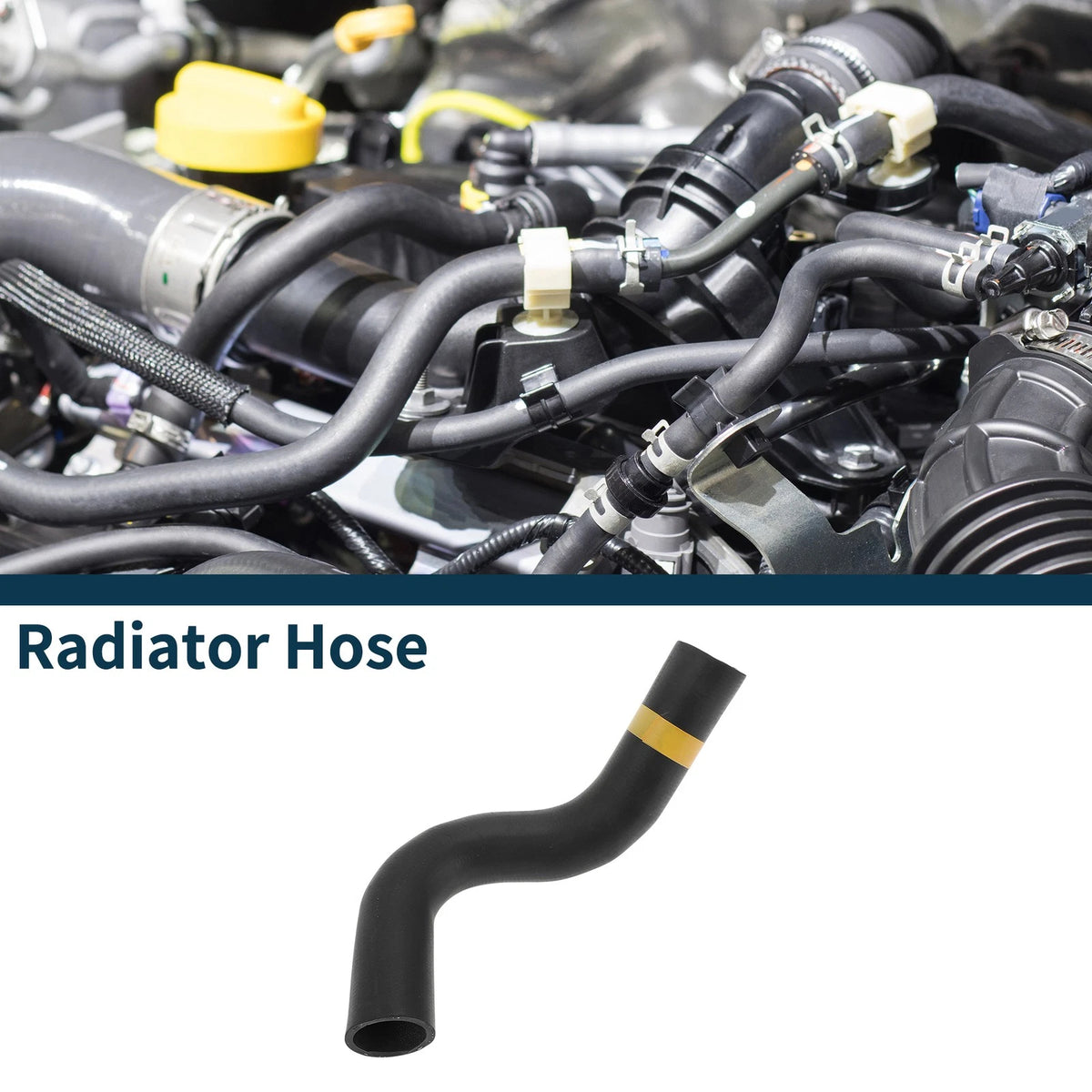Radiator Hose for Toyota Prado 4.0L TX Automatic (2010-2019)