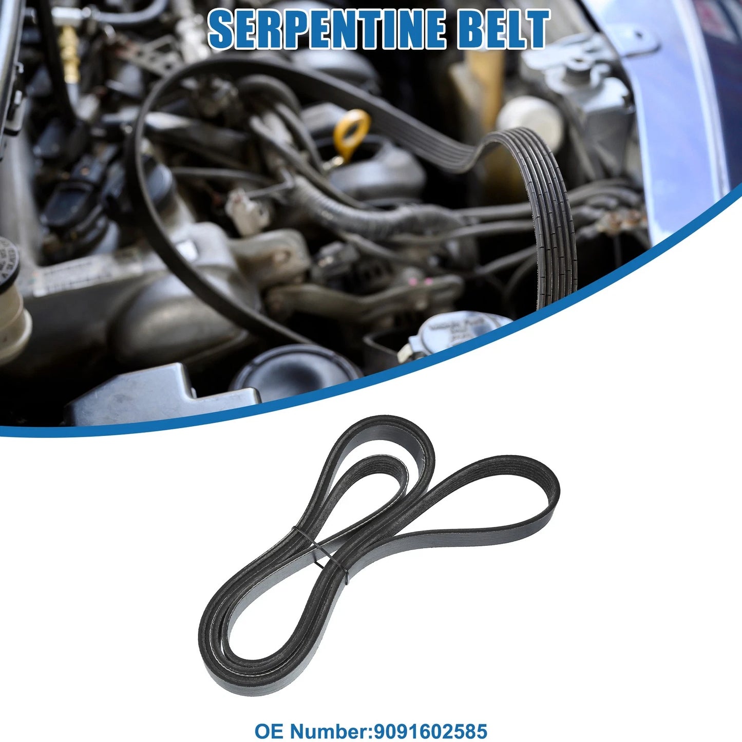 Serpentine Belt V-Ribbed Belt for Chevrolet Corvette