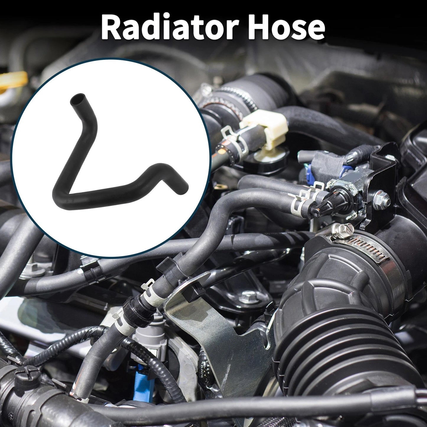Lower Radiator Hose for Toyota Corolla (2019-2021)