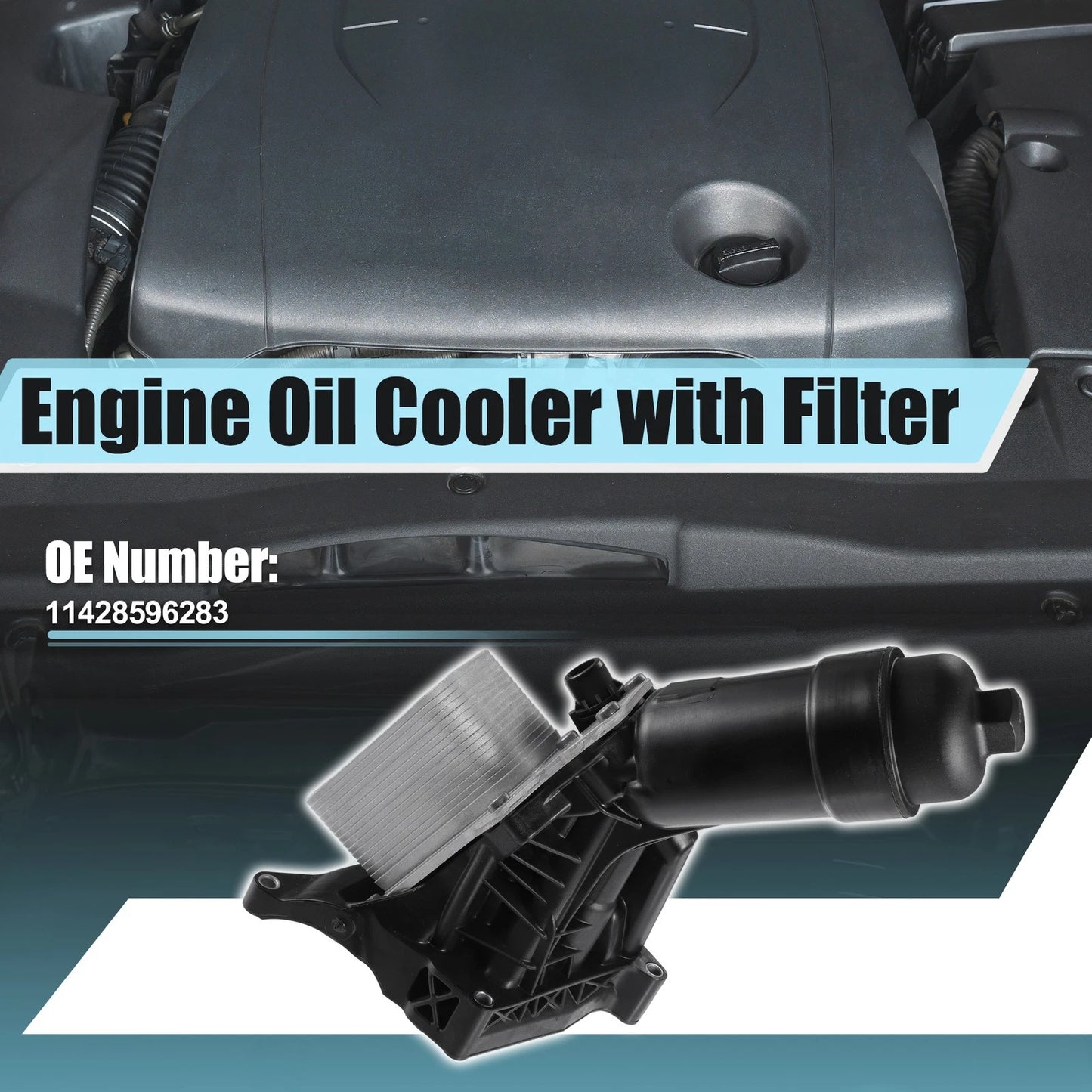 Engine Oil Cooler & Filter for BMW 230i F22 (2017-2022)