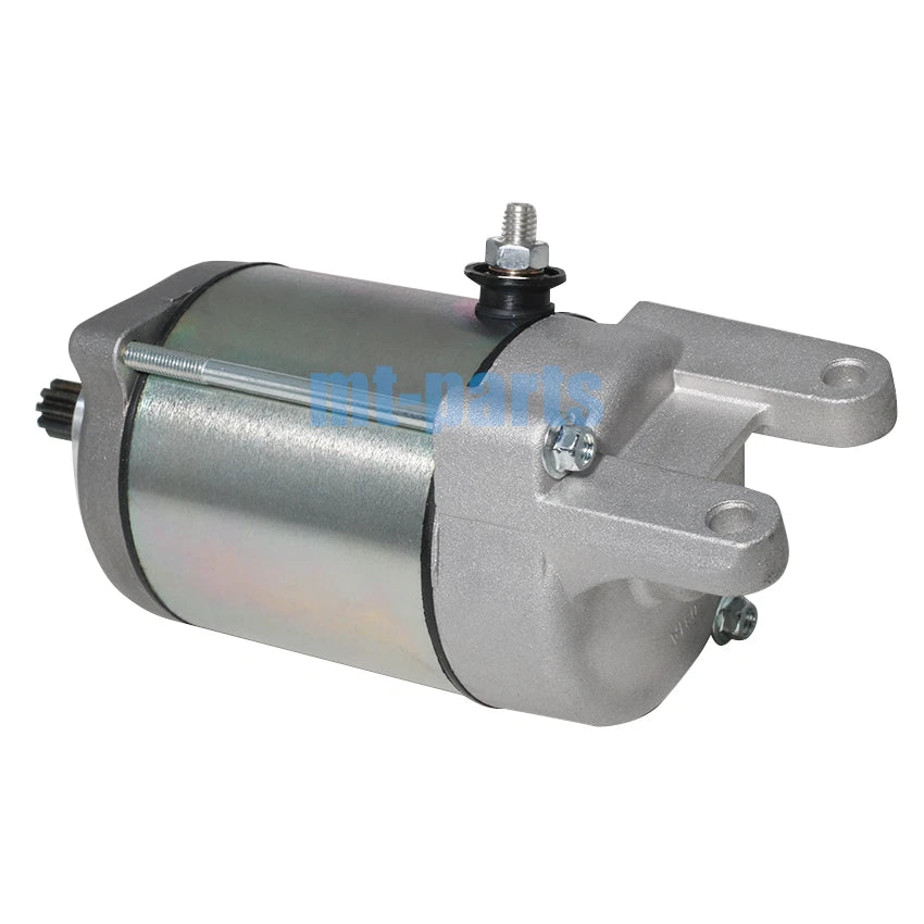Starter Motor Assembly for E-Ton ATV Vector 250 300, Gamax ATV AX250 AX300