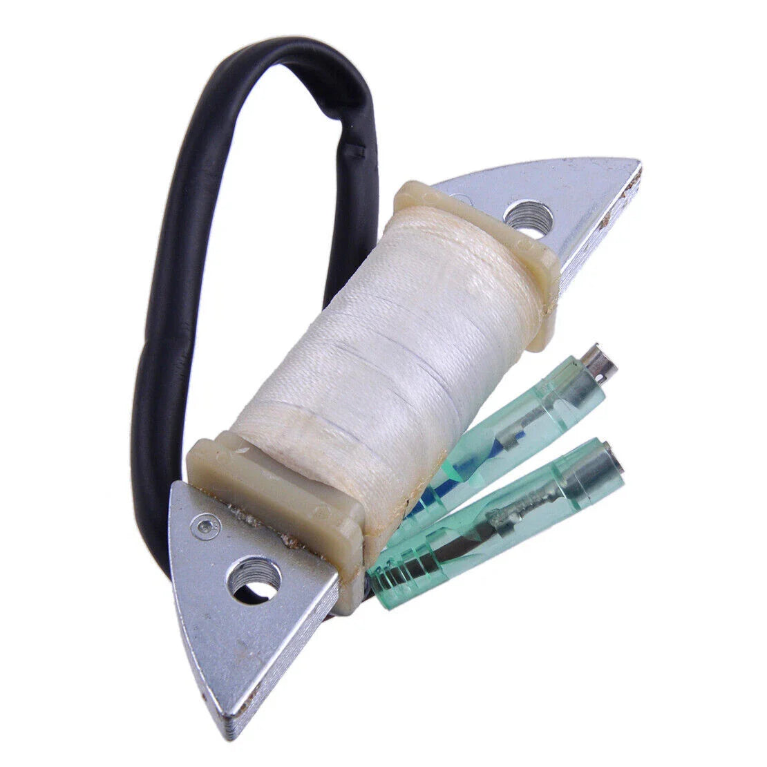 Lighting Coil Assy for Yamaha Outboard 9.9HP 13.5HP 15HP 2T Boats