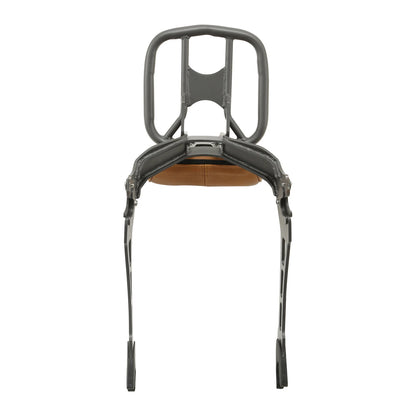 Passenger Backrest Sissy Bar Luggage Rack for Indian Scout Sixty (2015-2024)