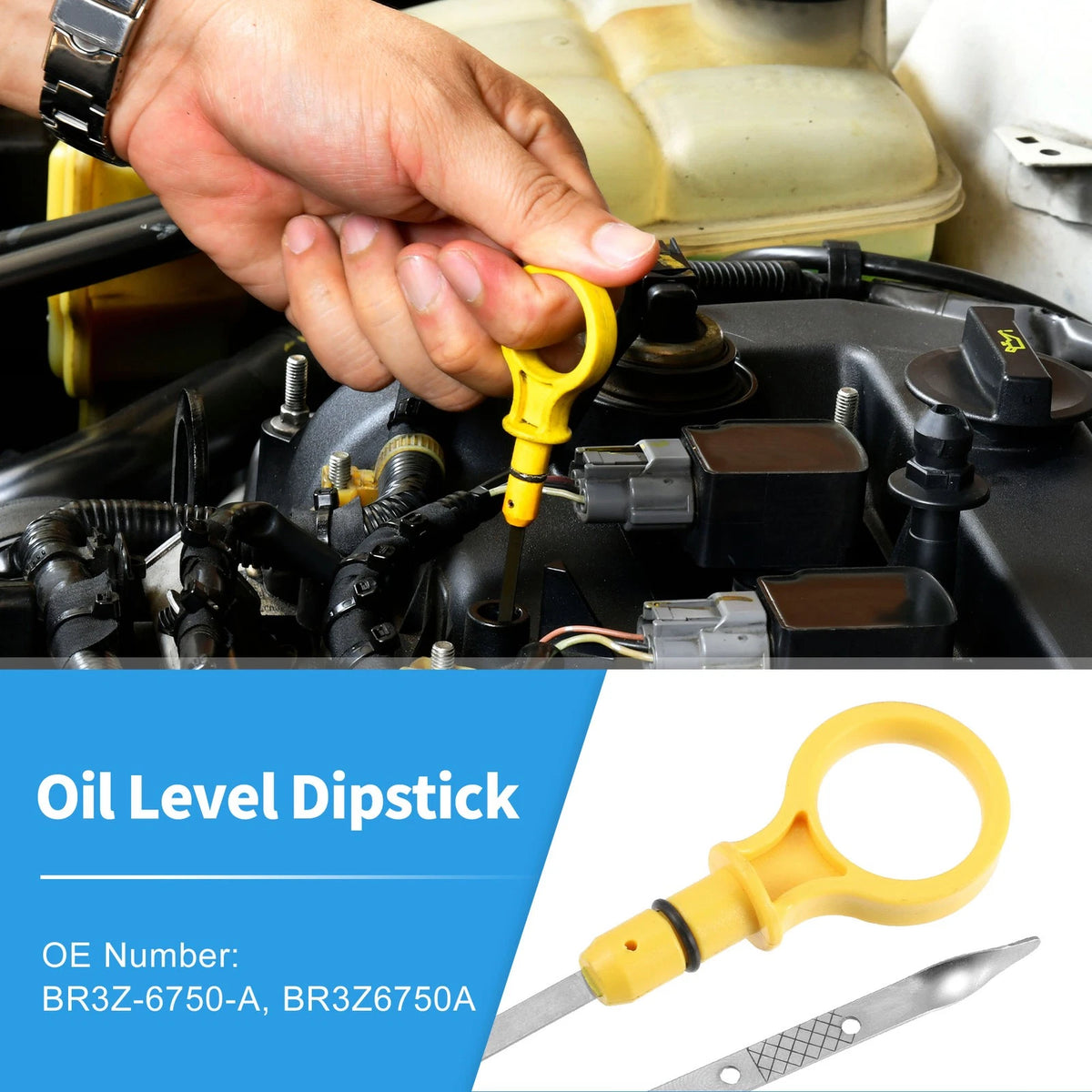 Engine Oil Dipstick for Ford F-150, Mustang Stainless Steel (2012-2014)