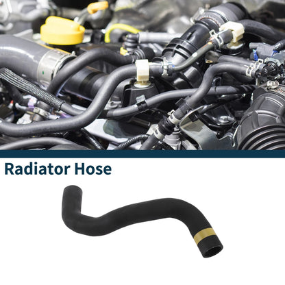 Radiator Hose for Toyota Levin 2017 (2017)