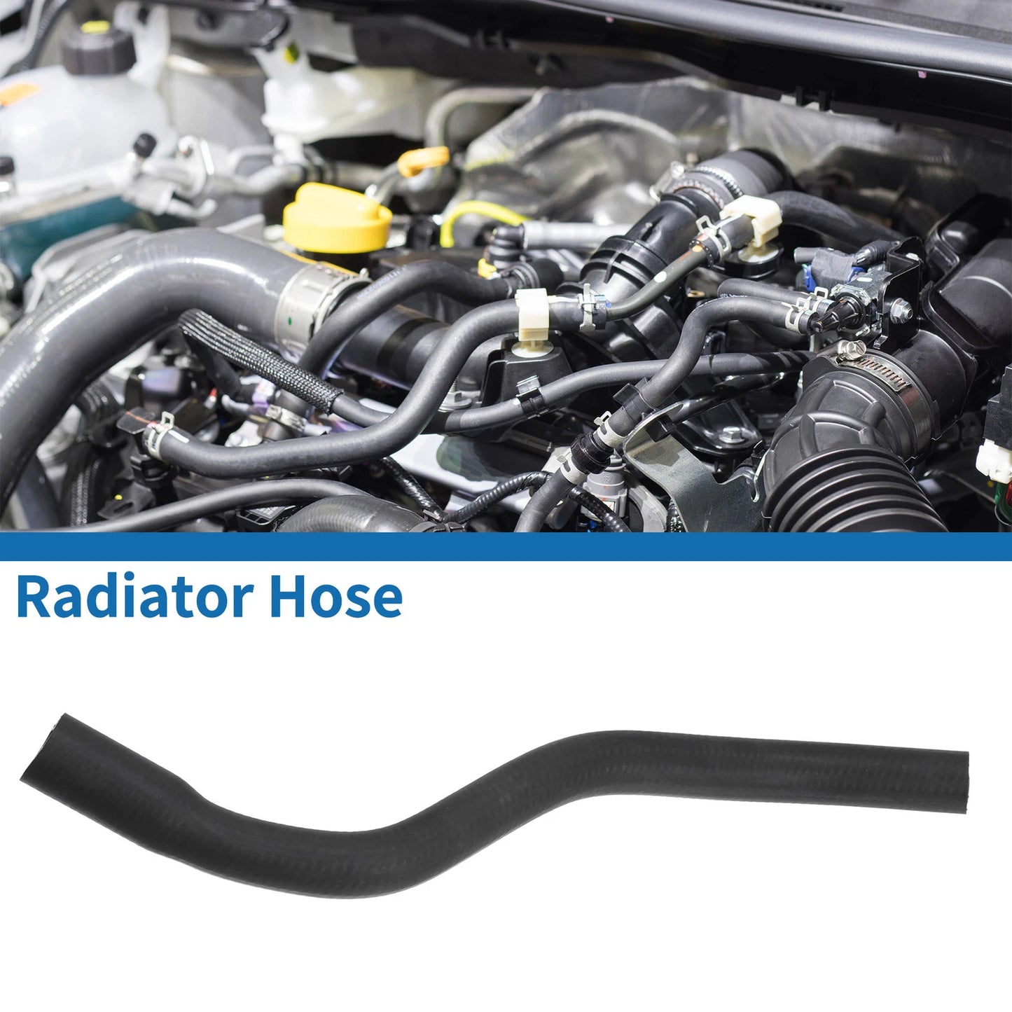 Radiator Hose for Mini Cooper & Clubman (2014-2021)