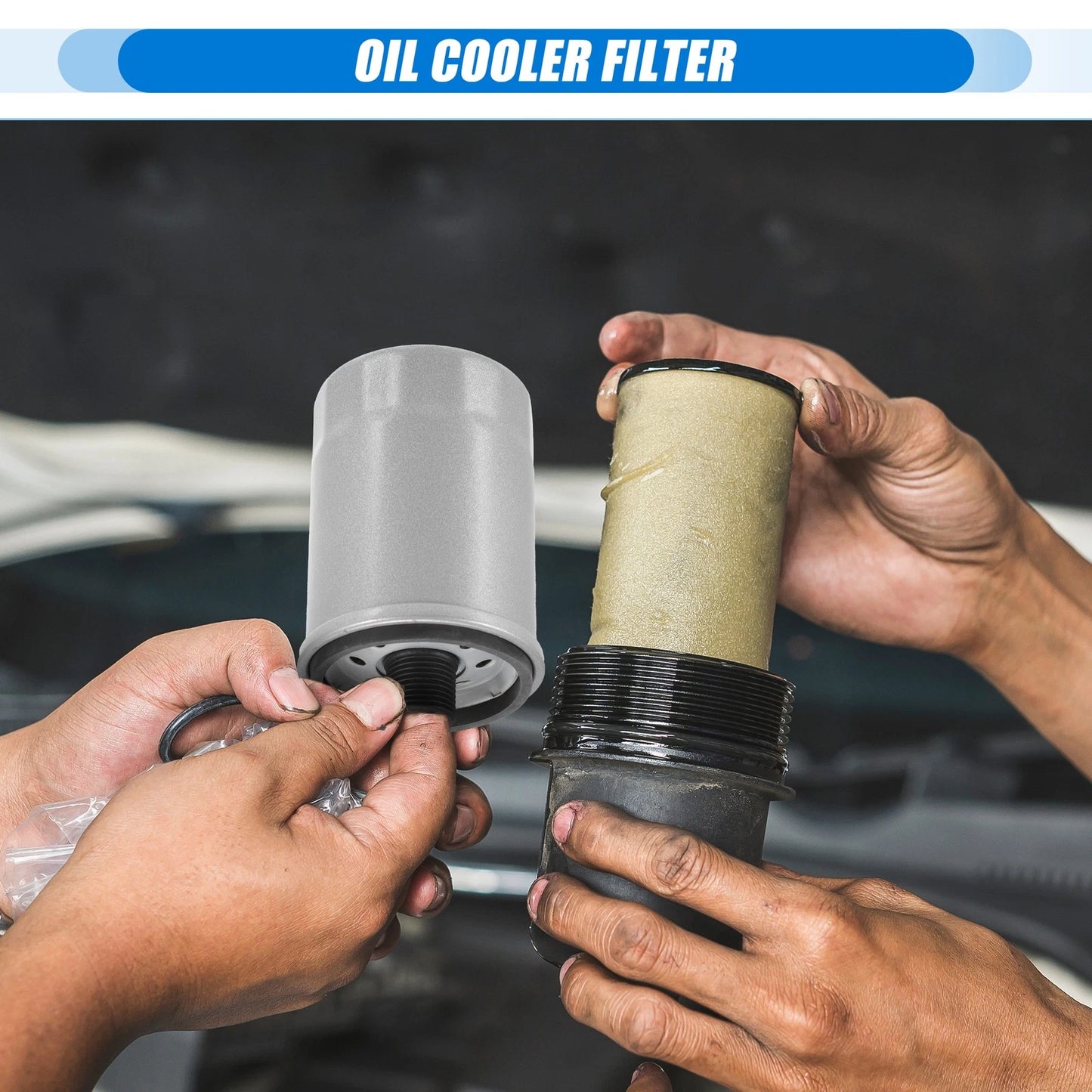 Oil Cooler & Automatic Transmission Filter for Dodge