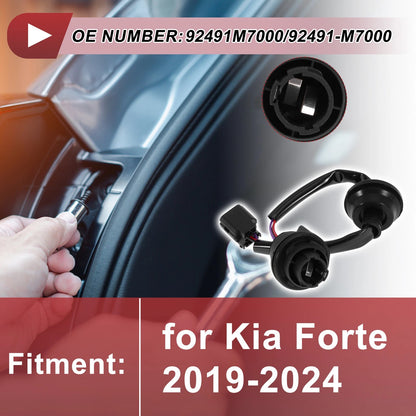 Tail Light Socket Wiring for Kia Forte (2019-2024)