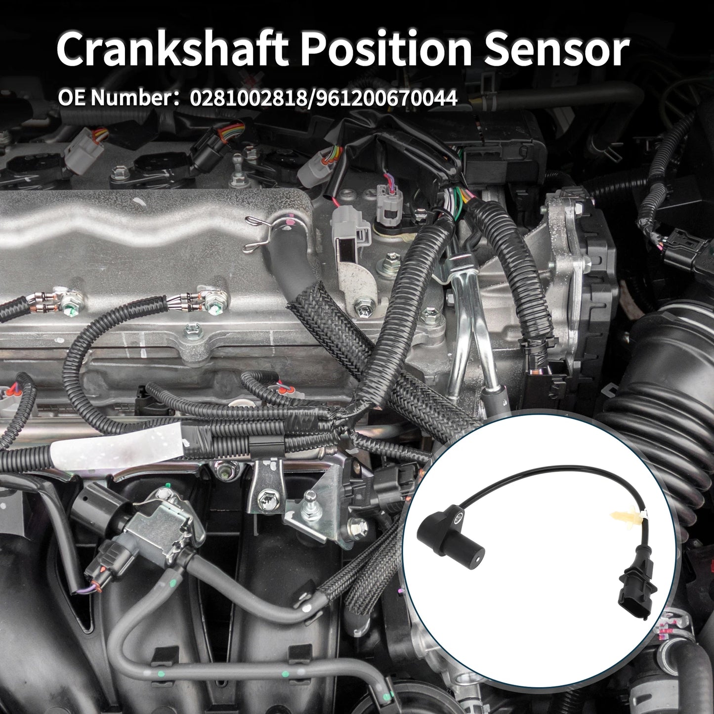 Crankshaft Position Sensor for VOLVO VM260 VM310 (2006-2011) 1 Pc