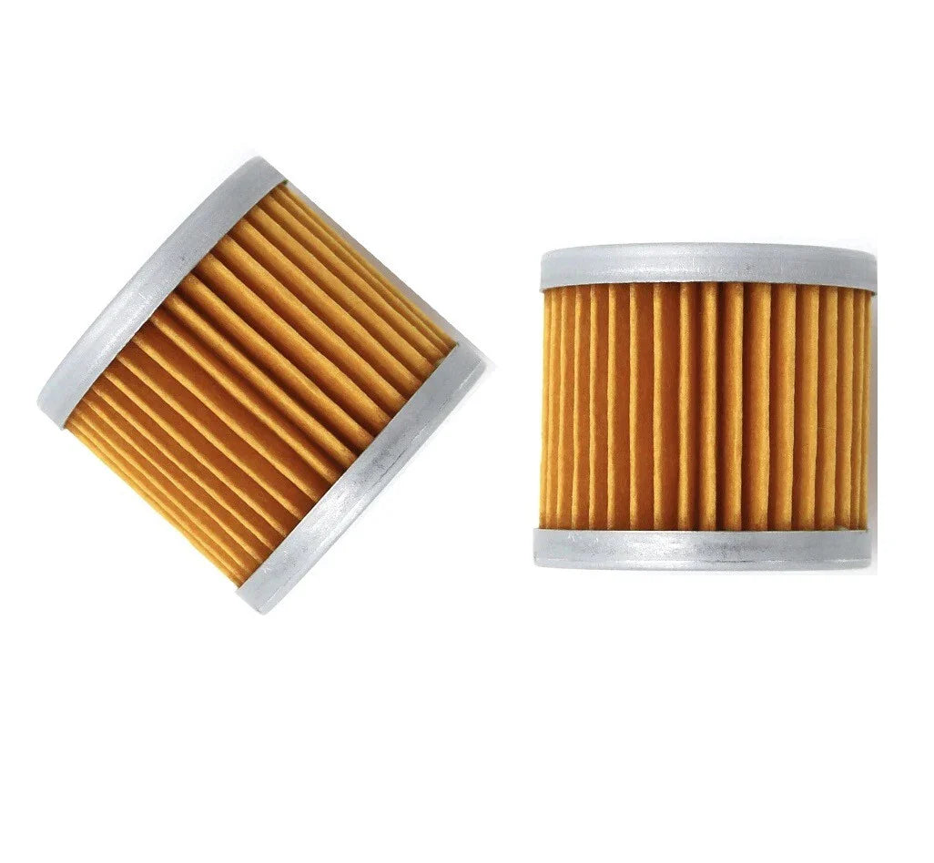 Oil Filter for Johnson/Evinrude/Suzuki Marine, 2 Pcs