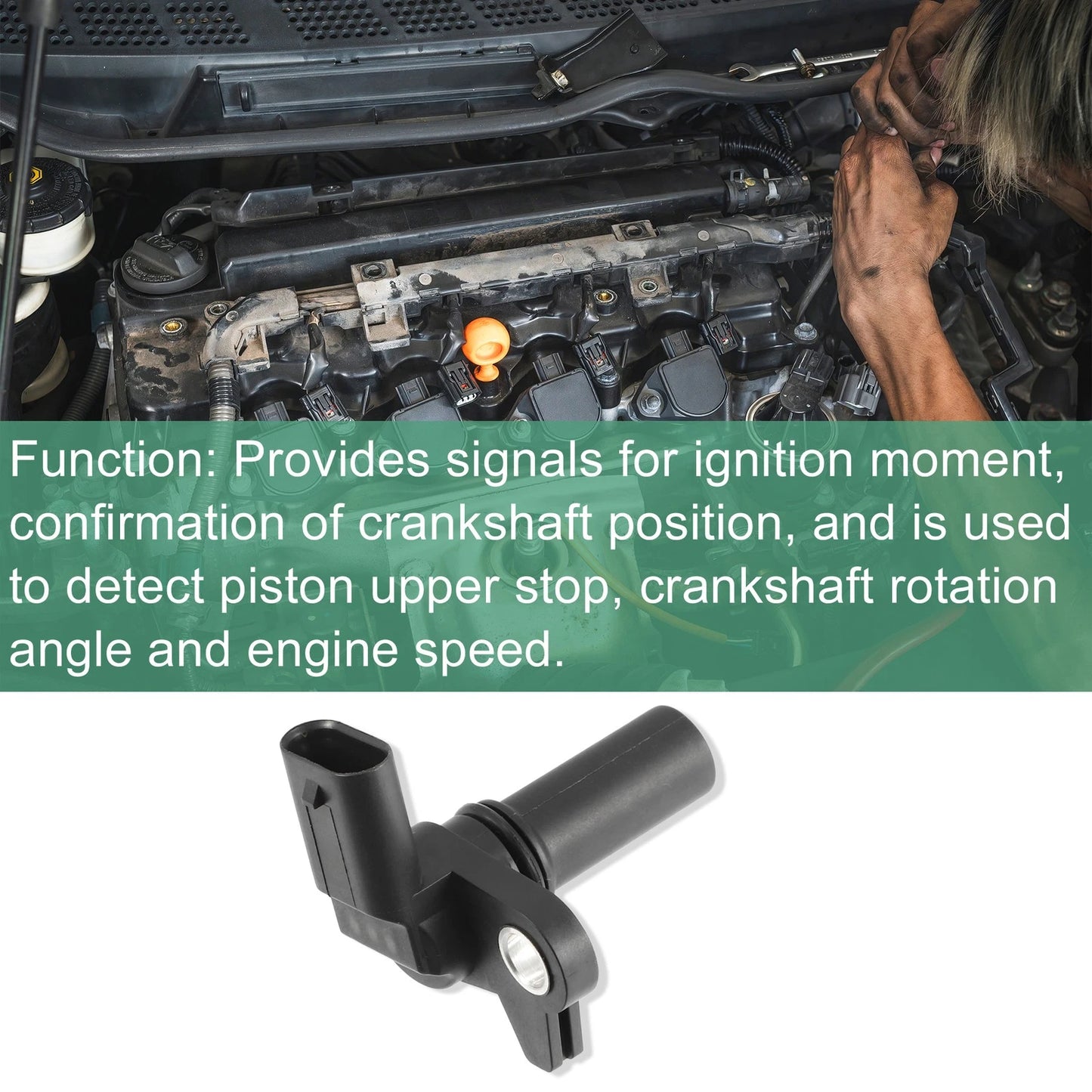 Crankshaft Position Sensor for Ford (BL31-12K073-AB) - Metal Plastic (2000-2005)