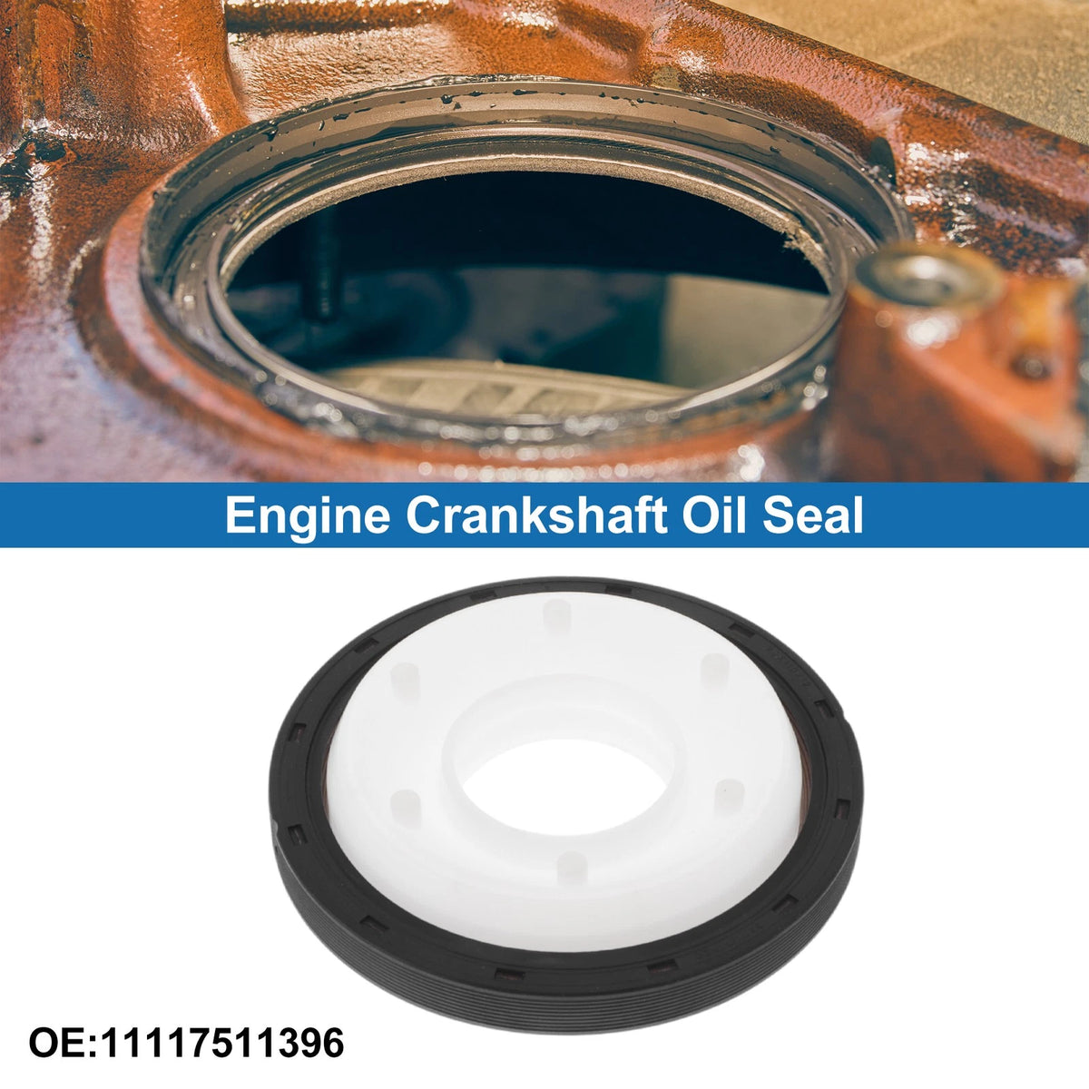 Rear Crankshaft Oil Seal for BMW 3 Series (2000-2013)