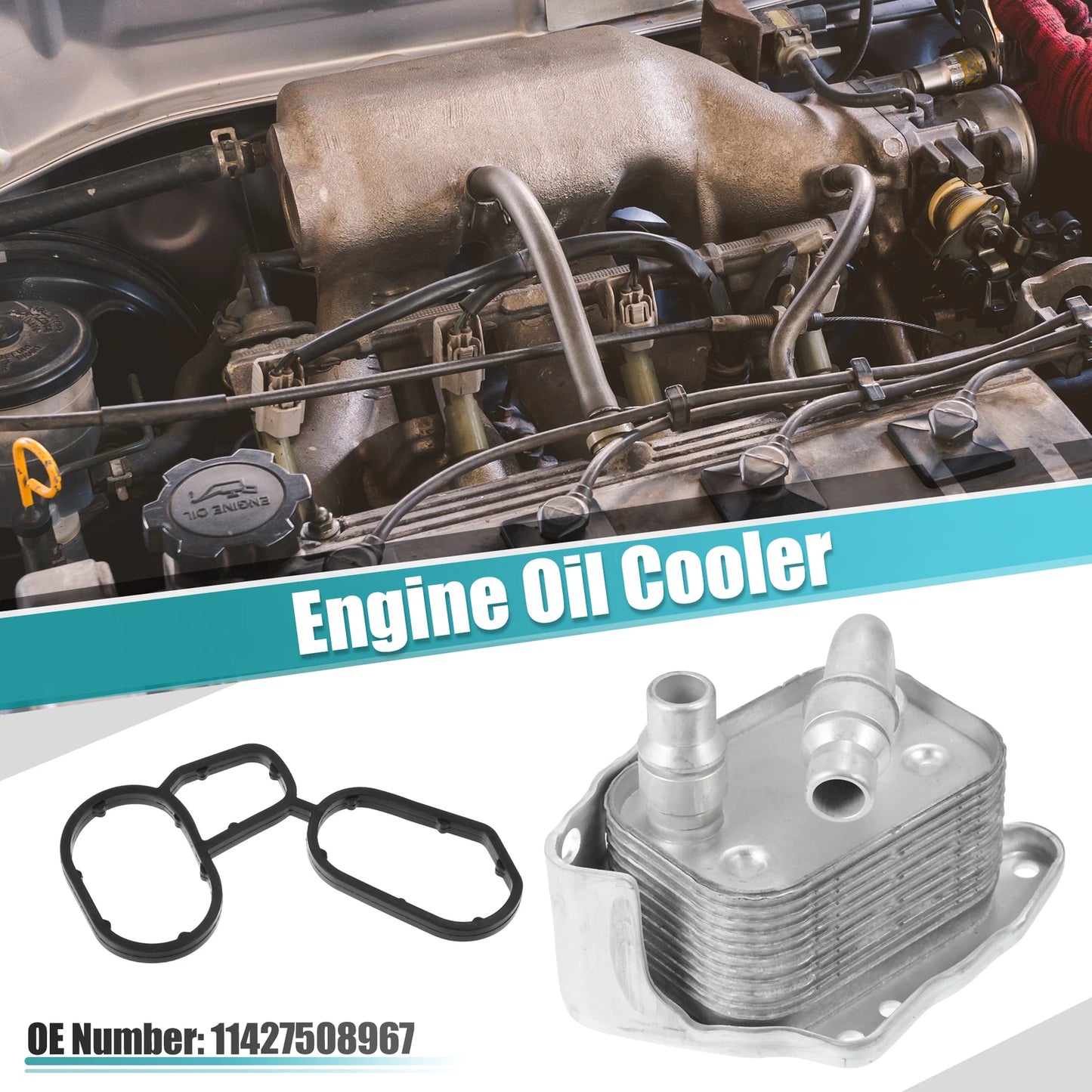 Engine Oil Cooler Housing with Gasket for BMW 120i 318i (2002-2013)