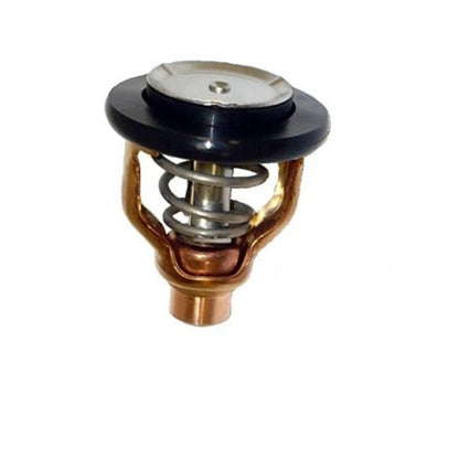 Thermostat Assy for Yamaha F300/F350HP 4-Stroke Outboard Engine