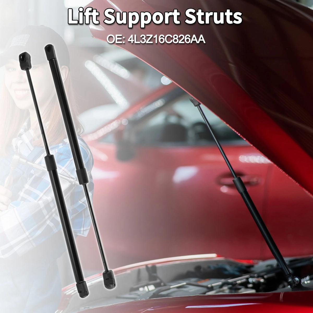 Hood Lift Supports Struts for Ford F-150 2004-2008 (2 x)