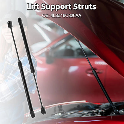 Hood Lift Supports Struts for Ford F-150 2004-2008 (2 x)