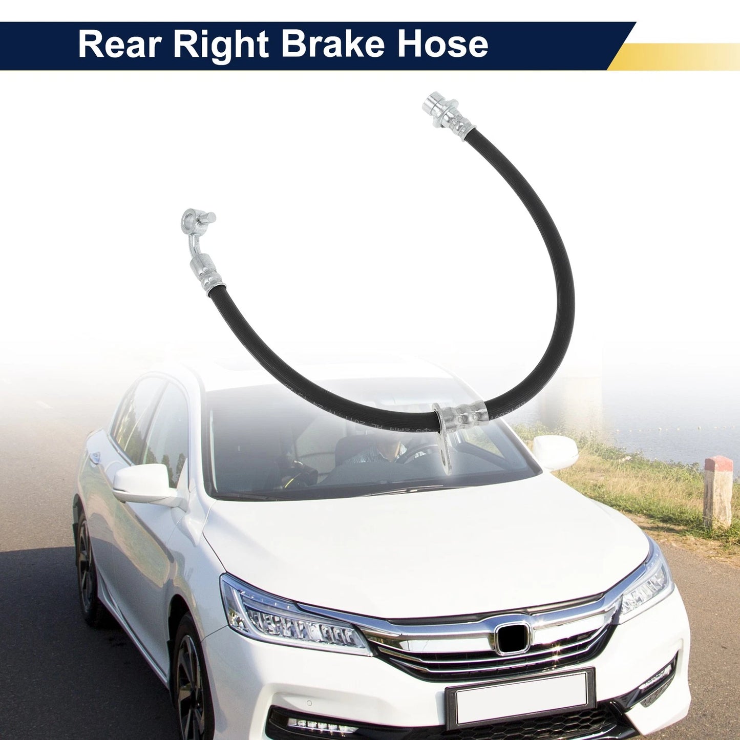 Rear Right Brake Hose for Honda (2016-2023)