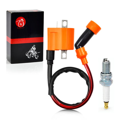 2 x Ignition Coil & Spark Plug for Yamaha Grizzly (2007–2014)