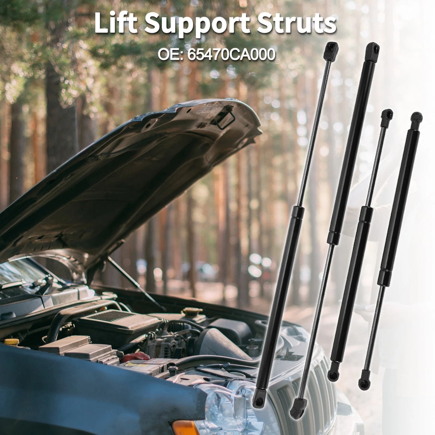Hood & Hatch Lift Supports for Nissan Murano Z50 (2003-2007)