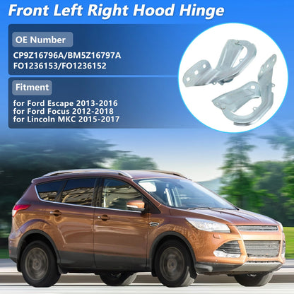 Hood Hinge for Ford Escape, Focus, Lincoln MKC (2013-2020)