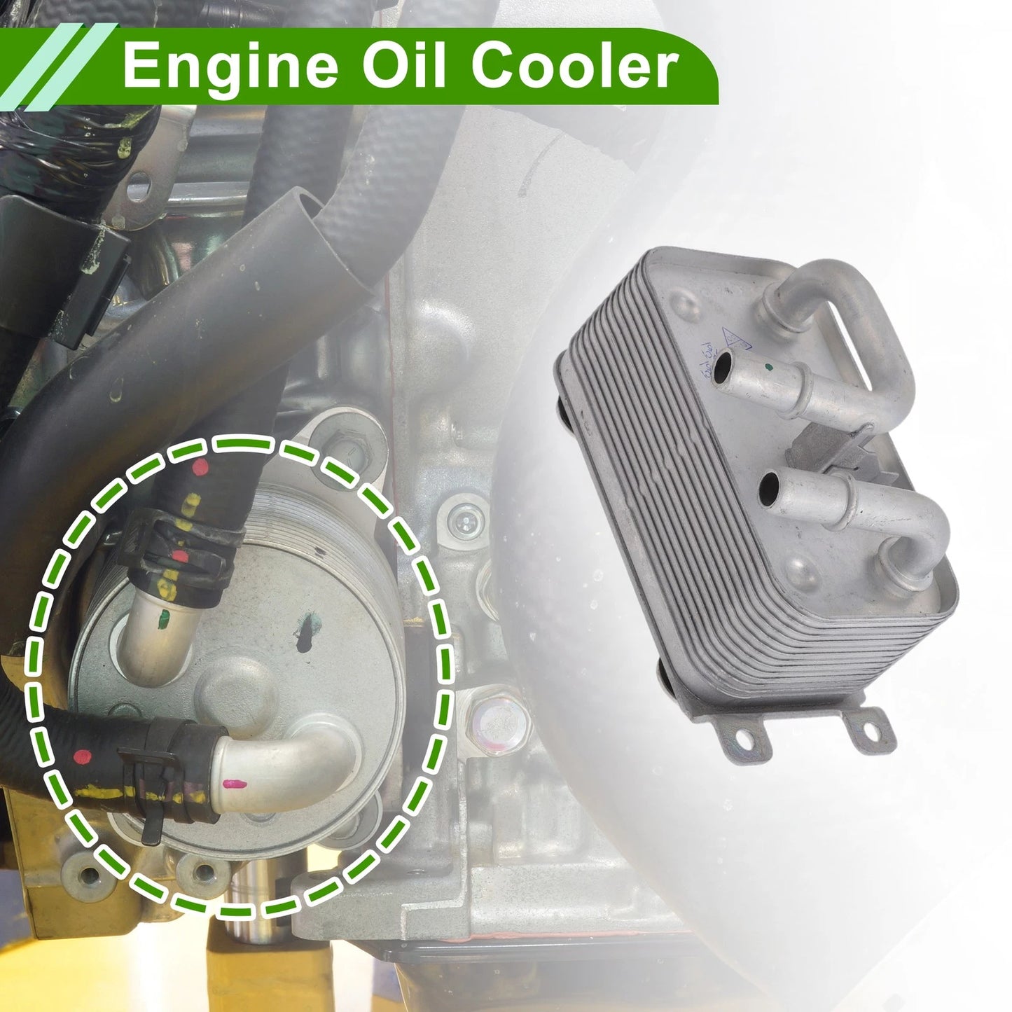 Engine Oil Cooler for BMW 525i (2001-2007)