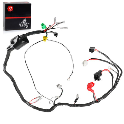 Electrical Harness for Suzuki LT80/Quadsport (1996-2006)