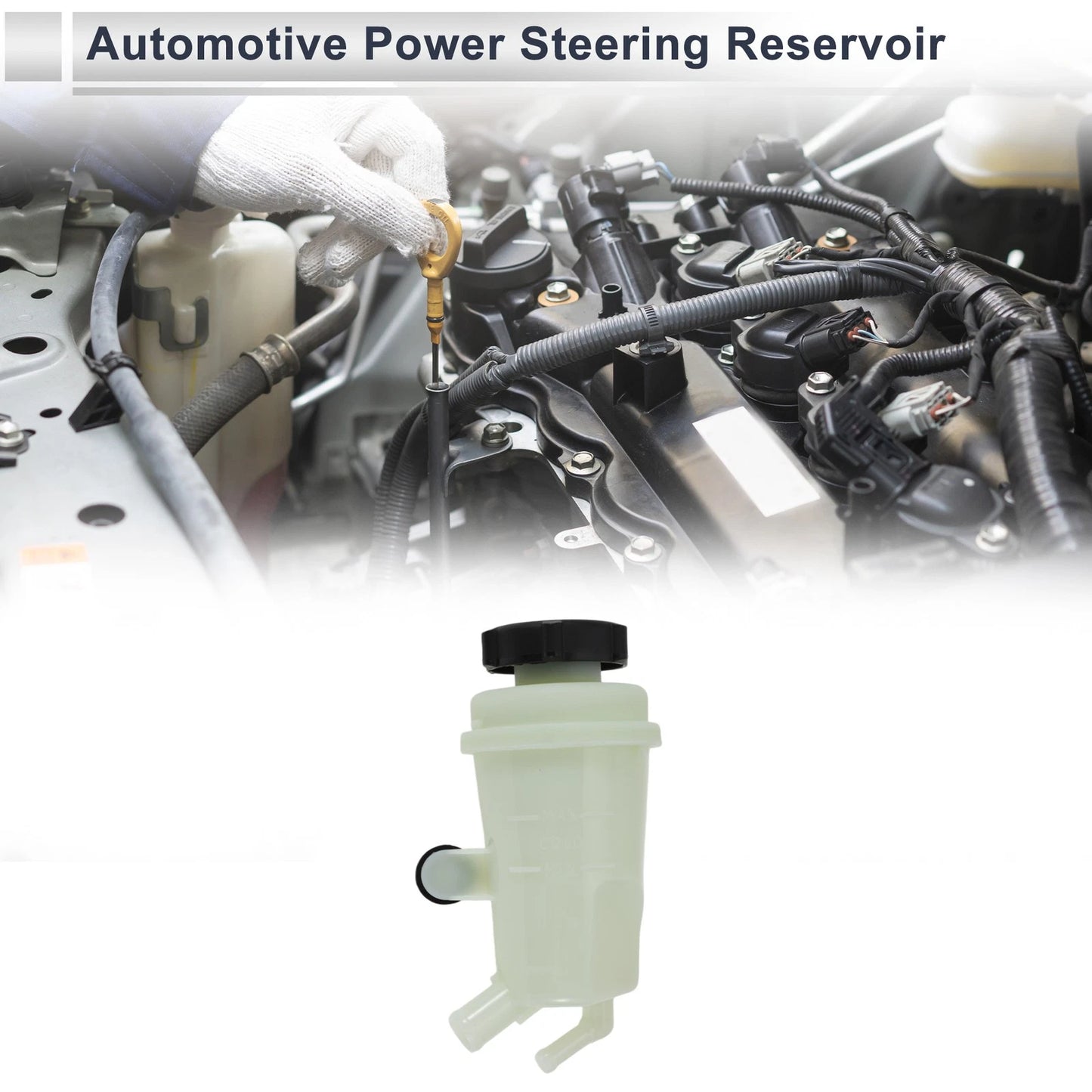 Power Steering Reservoir for Ford Focus (2000-2004) 1 x Beige