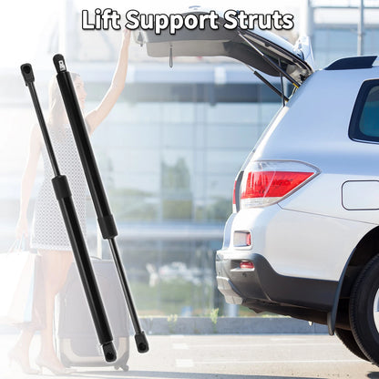 Rear Hatch Lift Supports Struts for Chevrolet Corvette (2005-2013)