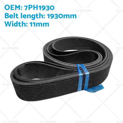 Dryer Drum Drive Belt for Electrolux EDV5552 EDV6552